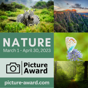 Picture Award – NATURE