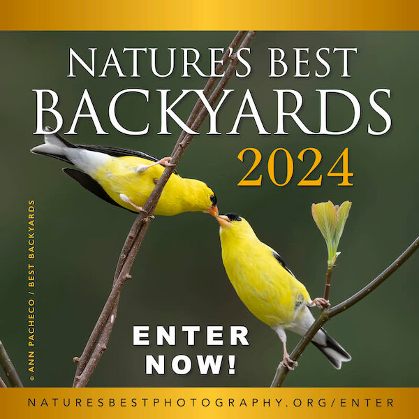 Nature’s Best Backyards