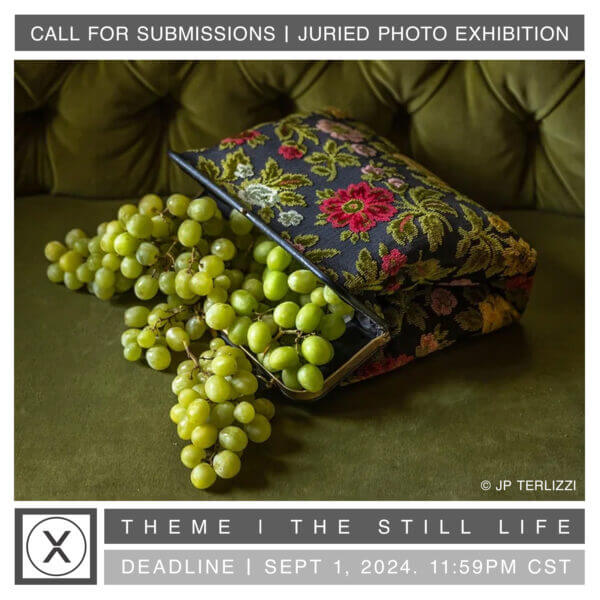 Theme | The Still Life