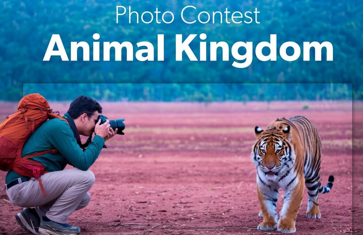 Xpozer Animal Kingdom Photo Contest