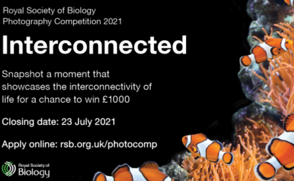 Royal Society Of Biology Interconnected Until 23 July 21 Photo Contest Calendar