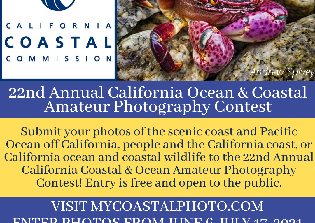 22nd Annual Coastal and Ocean Amateur Photo Contest until 17 Ju image photo