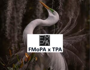 2023 International Photography Competition FMoPA x TPA