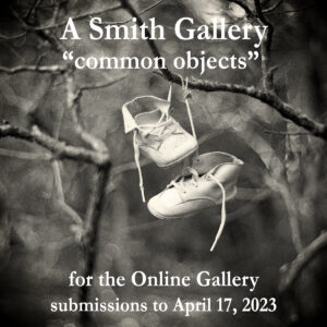 A Smith Gallery’s “common objects”