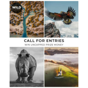 WILD Photo Awards