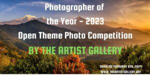 Photographer of the Year by The Artist Gallery