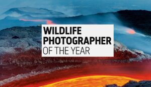 Wildlife Photographer of the Year