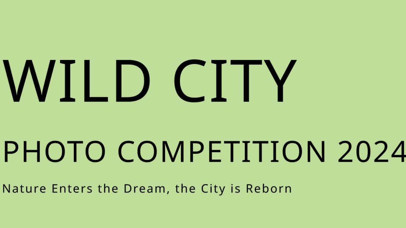 Wild City Photo Competition